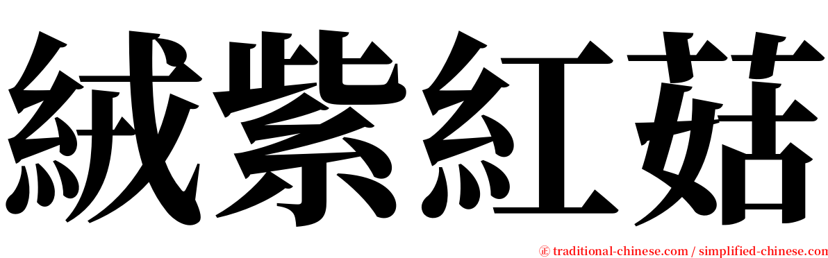 絨紫紅菇 serif font