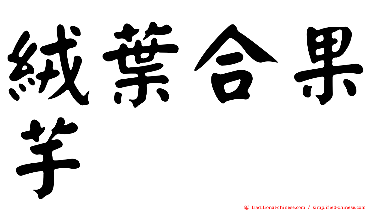 絨葉合果芋