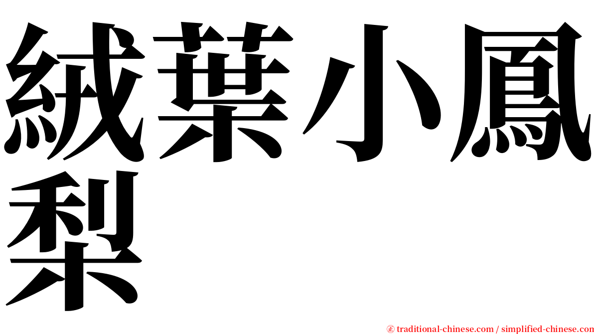 絨葉小鳳梨 serif font