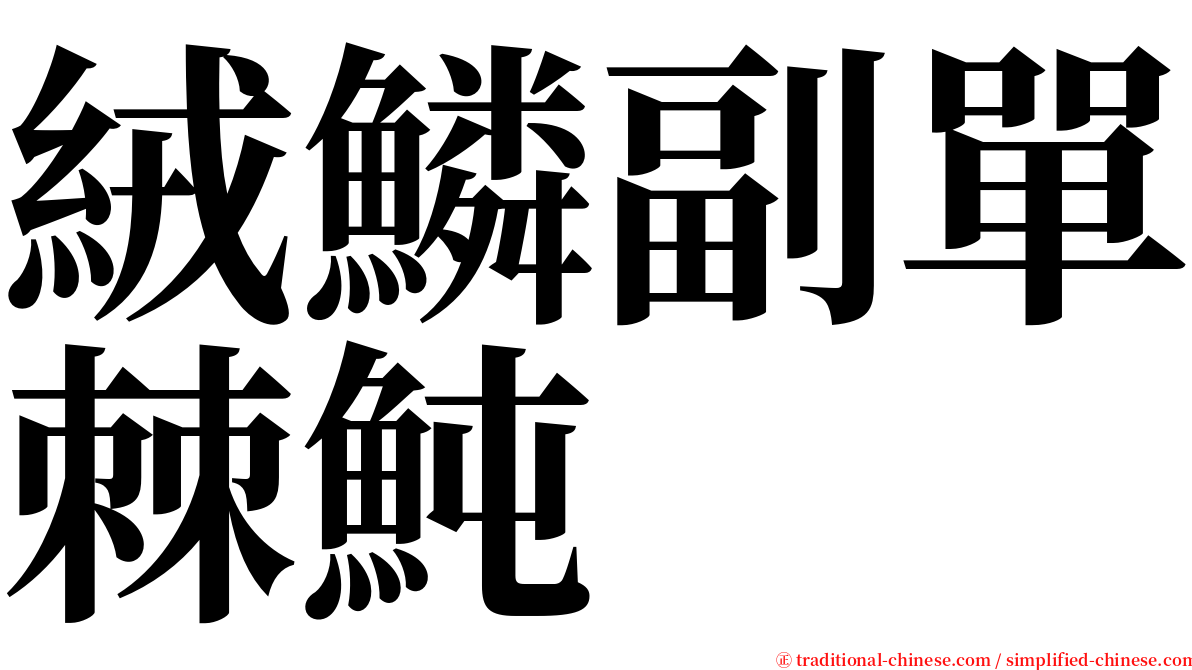 絨鱗副單棘魨 serif font