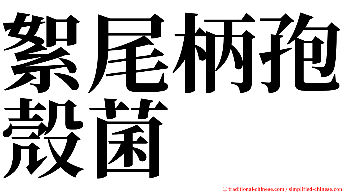 絮尾柄孢殼菌 serif font