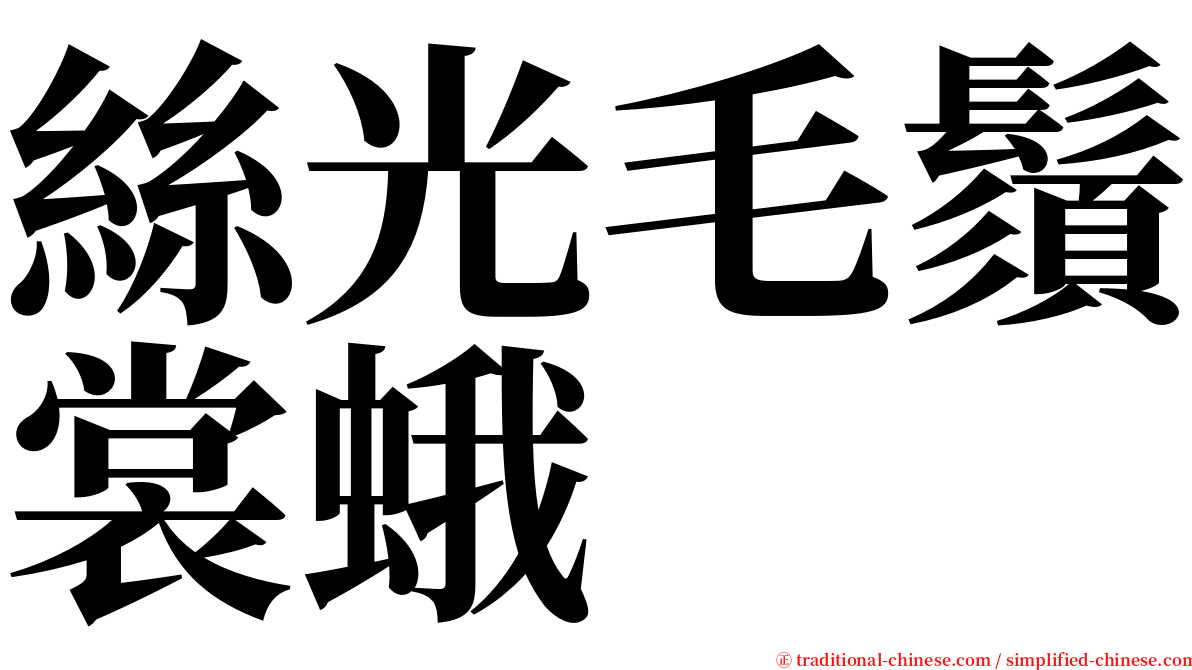 絲光毛鬚裳蛾 serif font