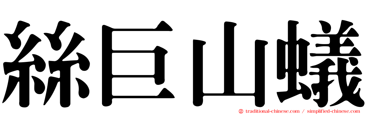 絲巨山蟻