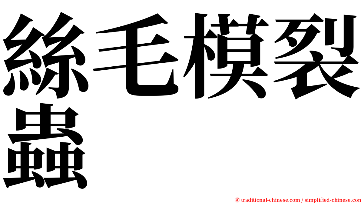 絲毛模裂蟲 serif font