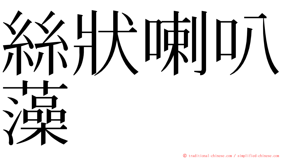 絲狀喇叭藻 ming font