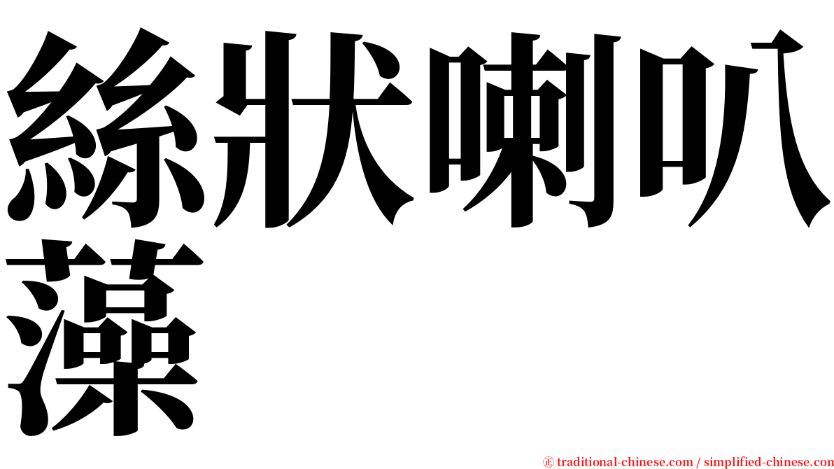 絲狀喇叭藻 serif font