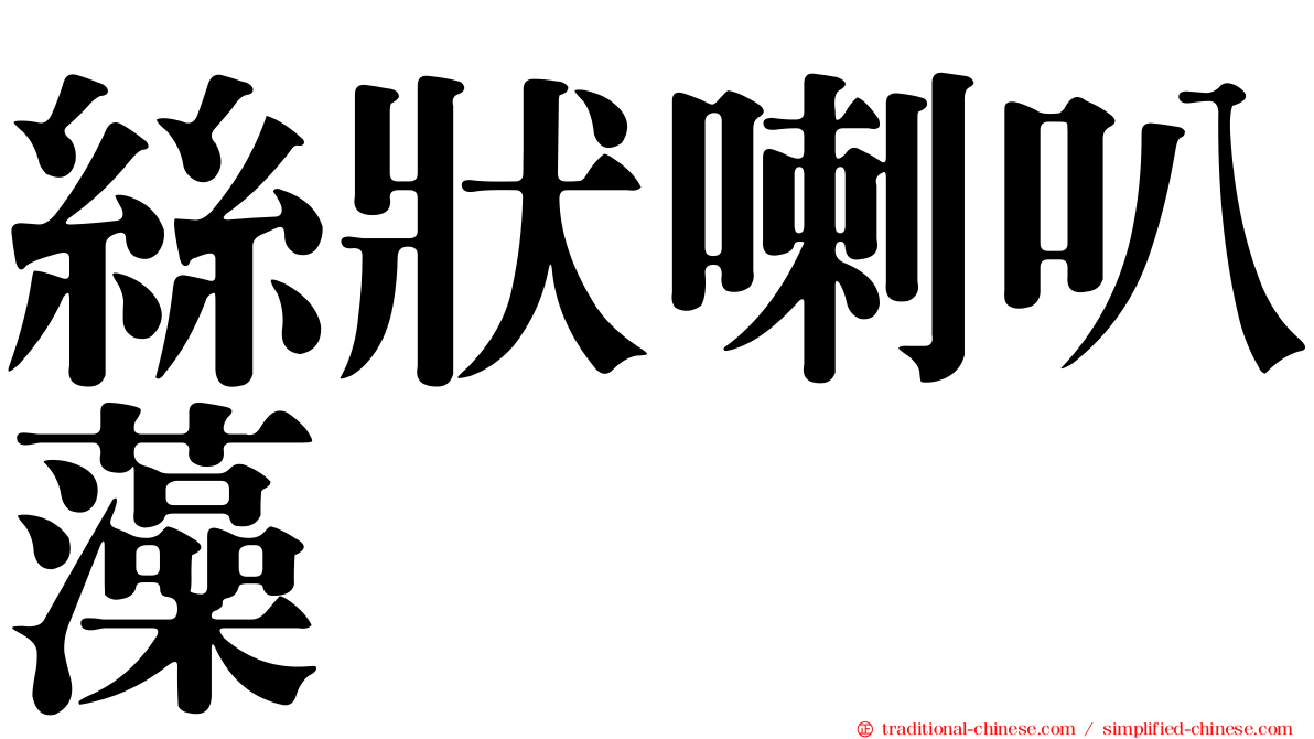 絲狀喇叭藻