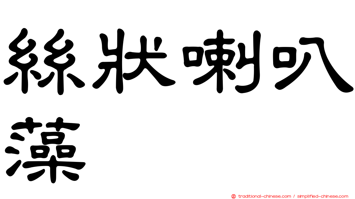 絲狀喇叭藻