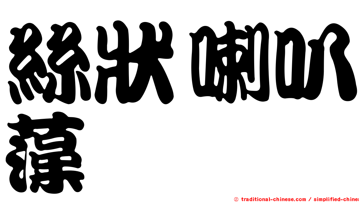 絲狀喇叭藻