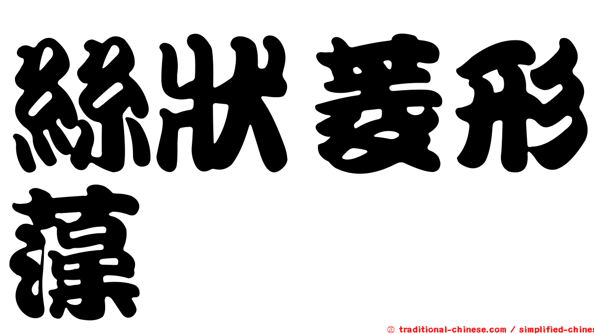 絲狀菱形藻