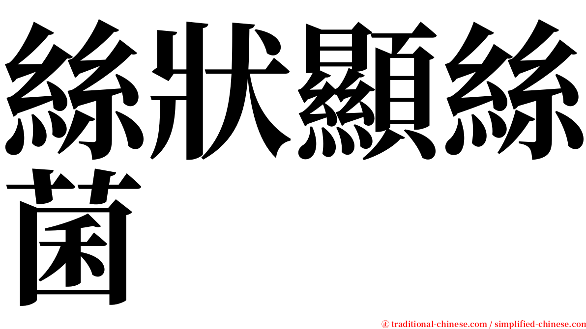 絲狀顯絲菌 serif font