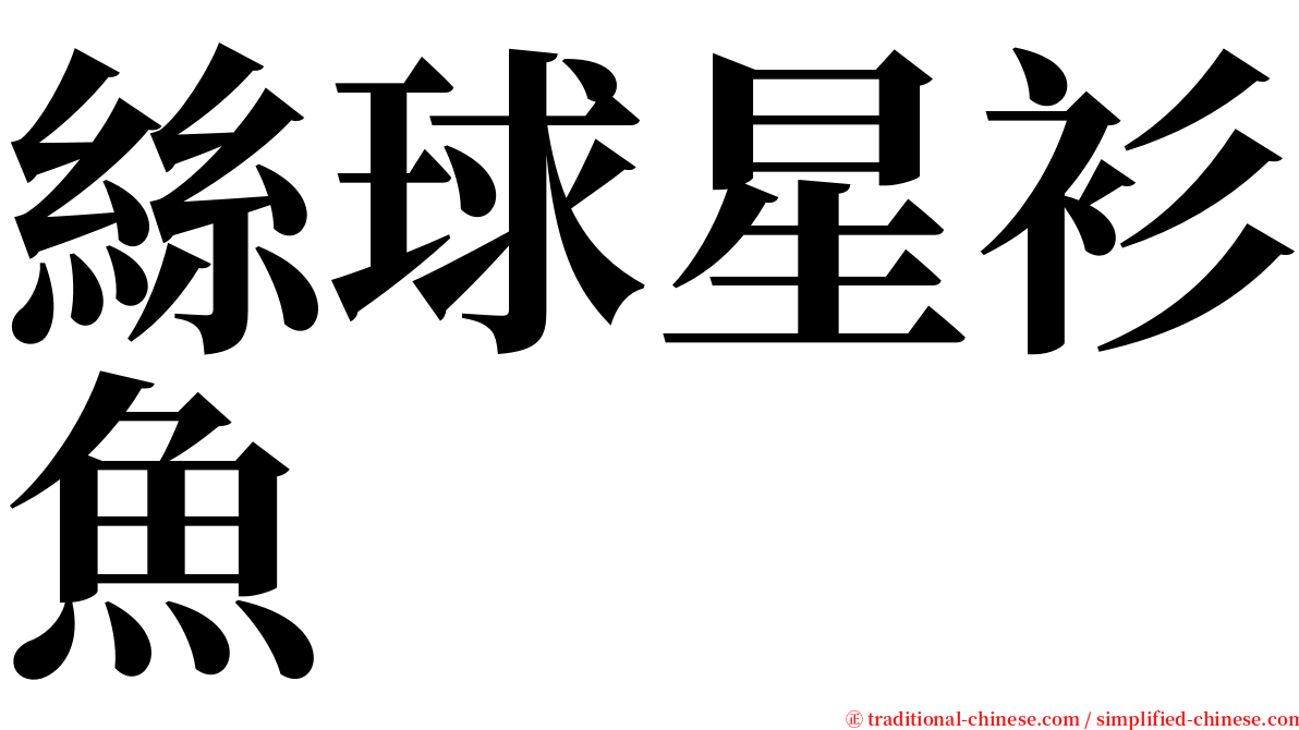 絲球星衫魚 serif font