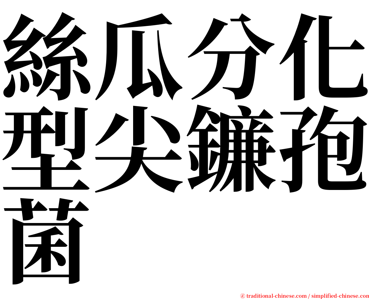 絲瓜分化型尖鐮孢菌 serif font