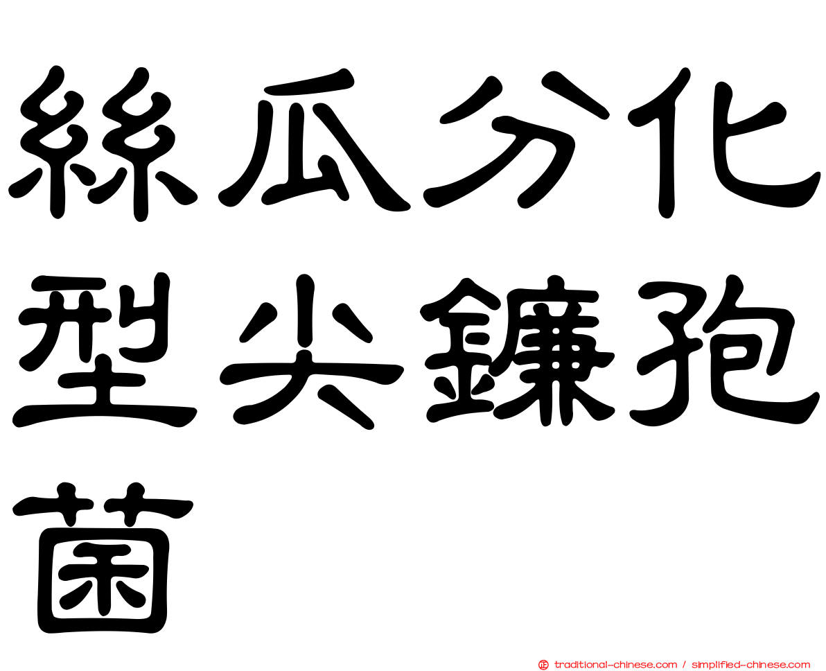 絲瓜分化型尖鐮孢菌