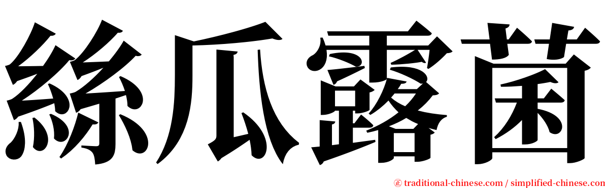 絲瓜露菌 serif font