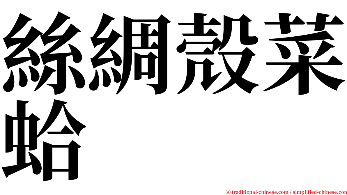 絲綢殼菜蛤 serif font