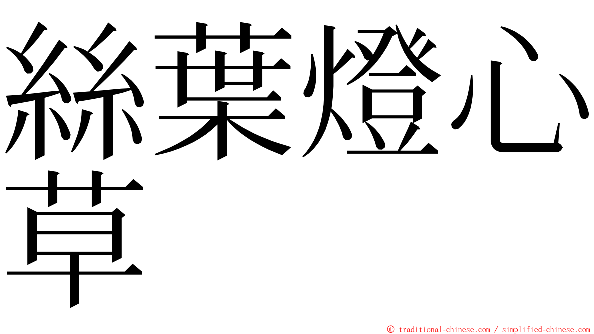 絲葉燈心草 ming font