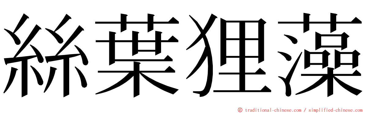 絲葉狸藻 ming font