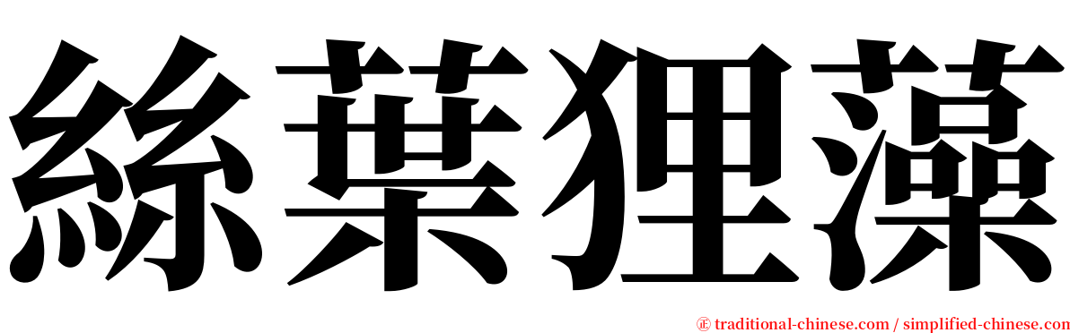 絲葉狸藻 serif font