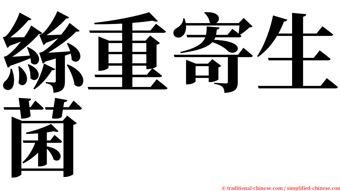 絲重寄生菌 serif font