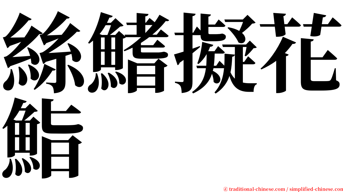 絲鰭擬花鮨 serif font