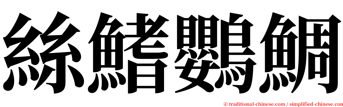 絲鰭鸚鯛 serif font