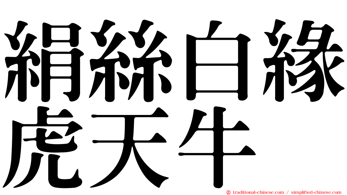 絹絲白緣虎天牛