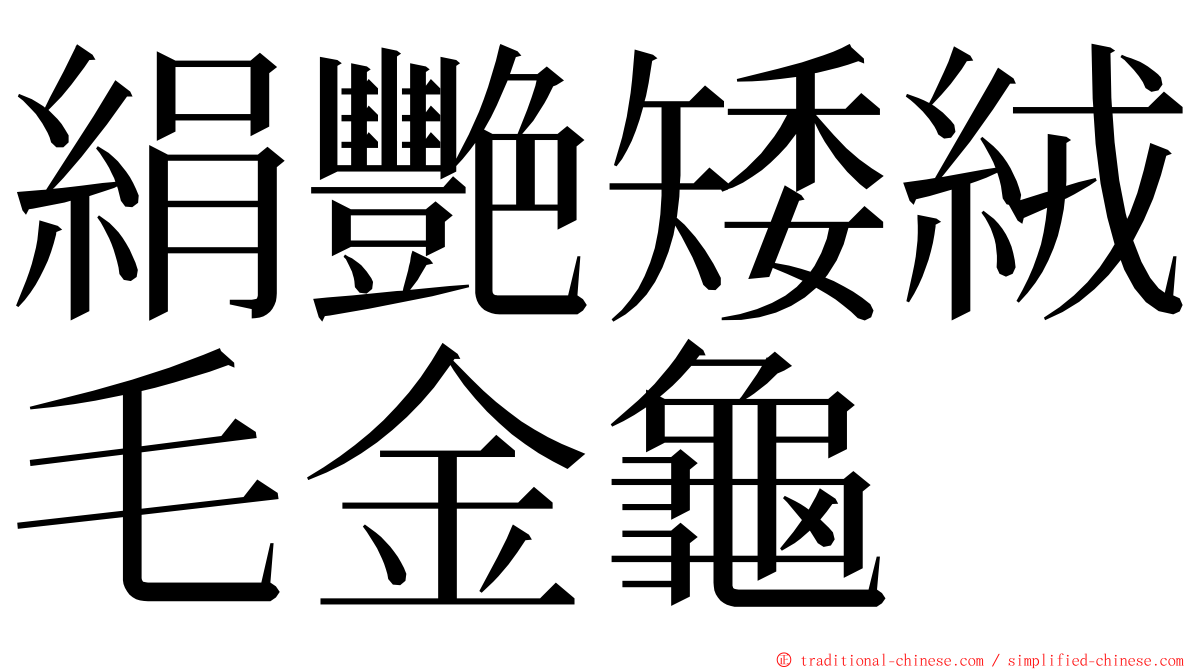 絹艷矮絨毛金龜 ming font