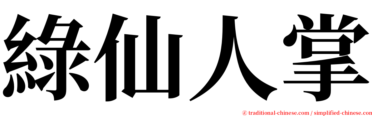 綠仙人掌 serif font