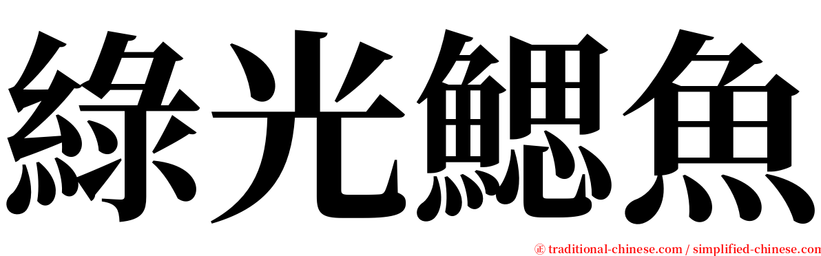 綠光鰓魚 serif font