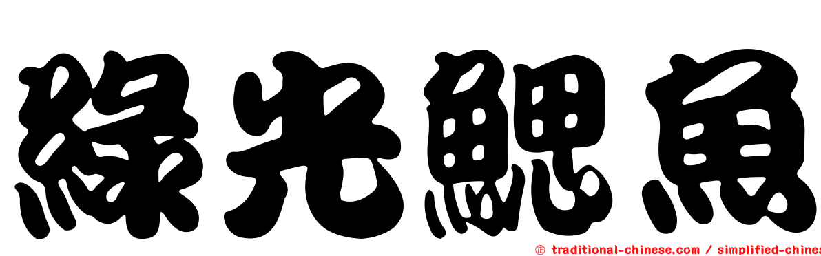 綠光鰓魚