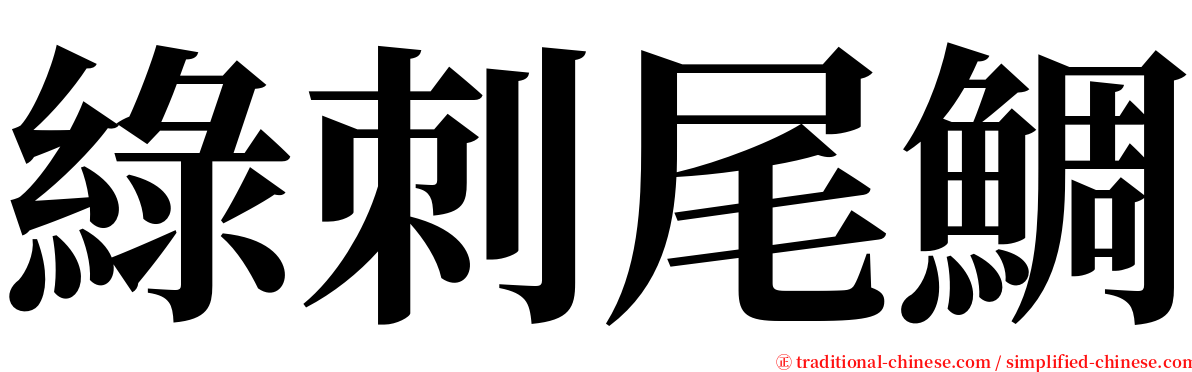 綠刺尾鯛 serif font