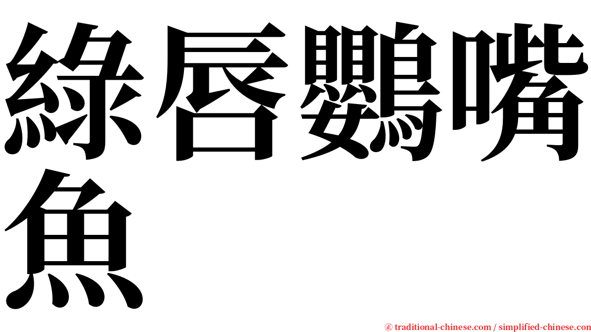 綠唇鸚嘴魚 serif font