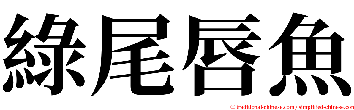 綠尾唇魚 serif font