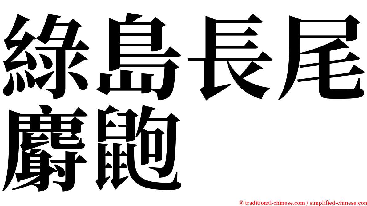 綠島長尾麝鼩 serif font