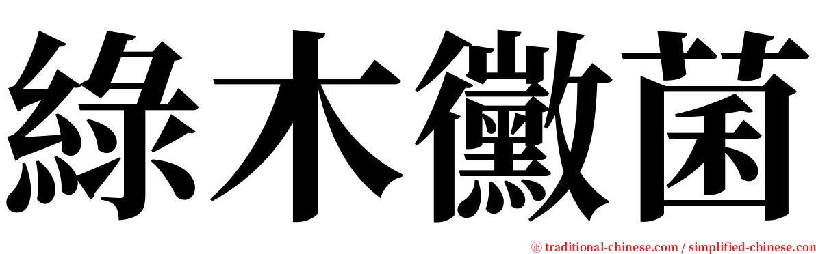 綠木黴菌 serif font