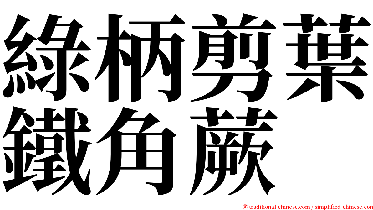 綠柄剪葉鐵角蕨 serif font