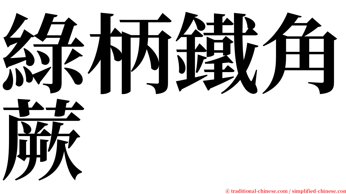 綠柄鐵角蕨 serif font