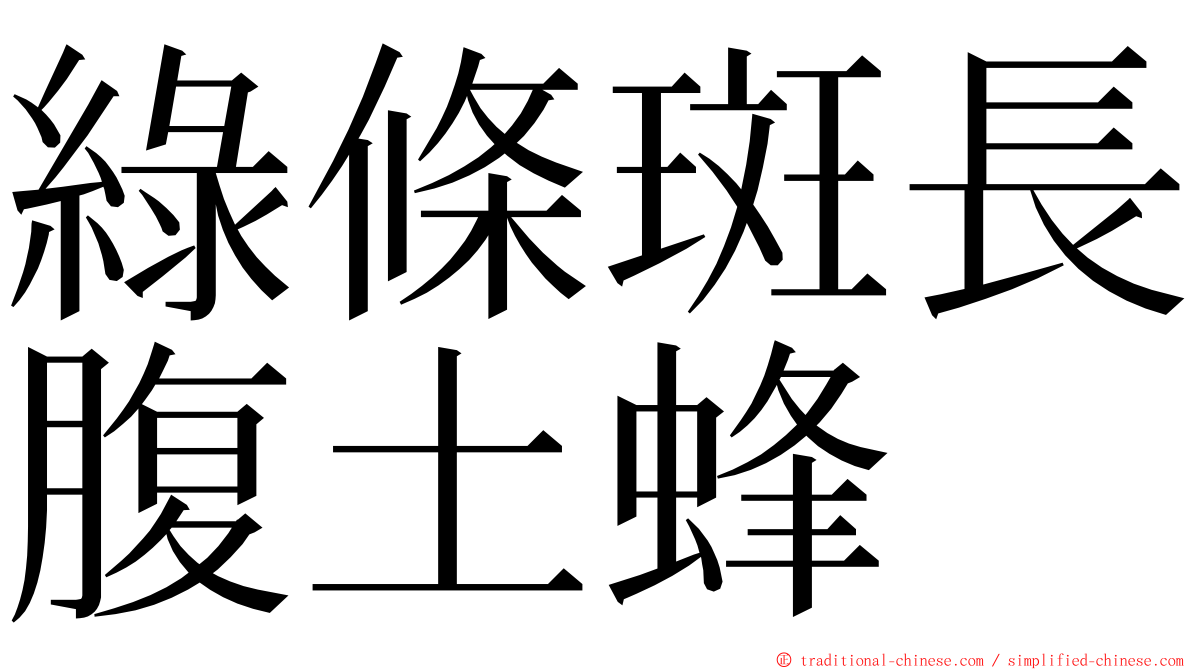 綠條斑長腹土蜂 ming font