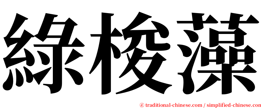 綠梭藻 serif font