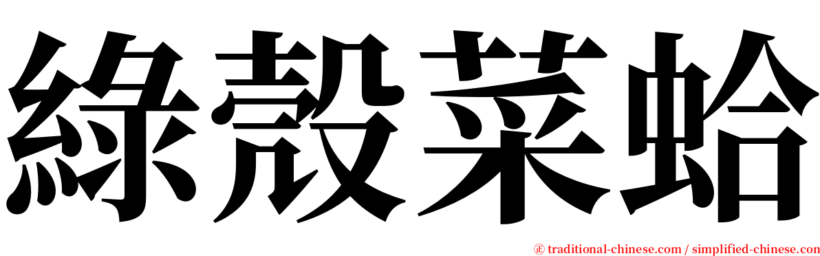 綠殼菜蛤 serif font