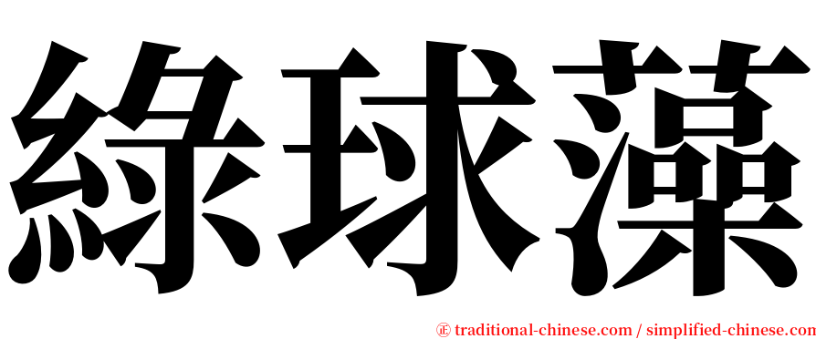 綠球藻 serif font