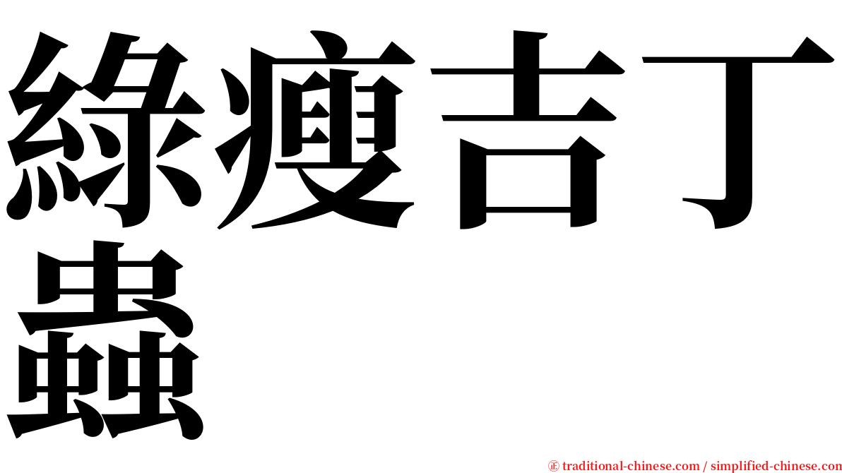 綠瘦吉丁蟲 serif font