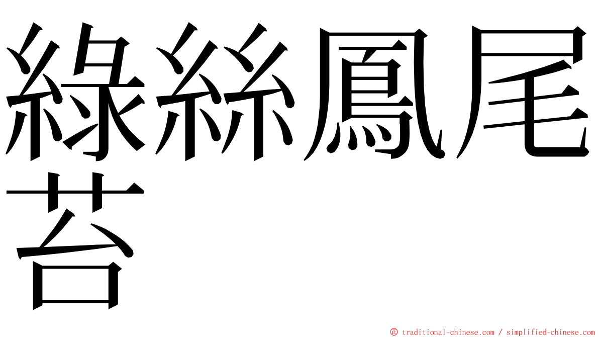 綠絲鳳尾苔 ming font