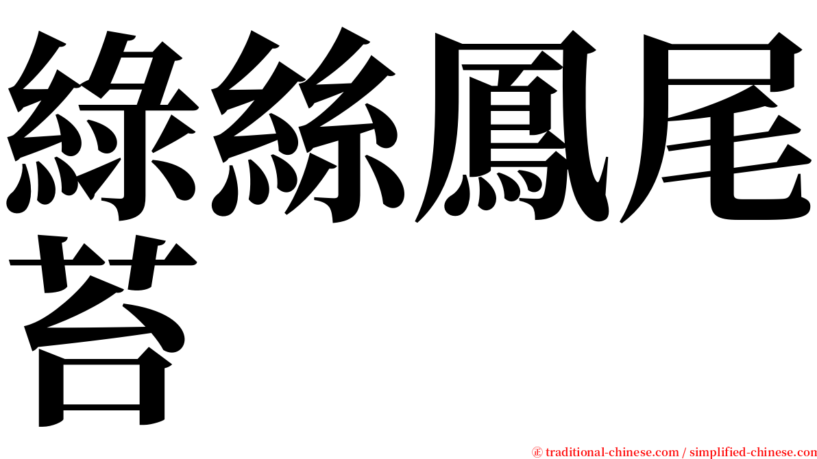 綠絲鳳尾苔 serif font