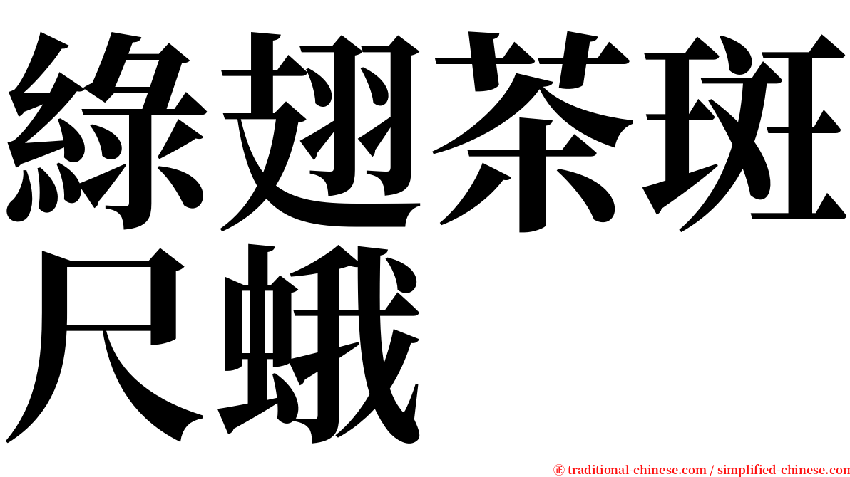 綠翅茶斑尺蛾 serif font