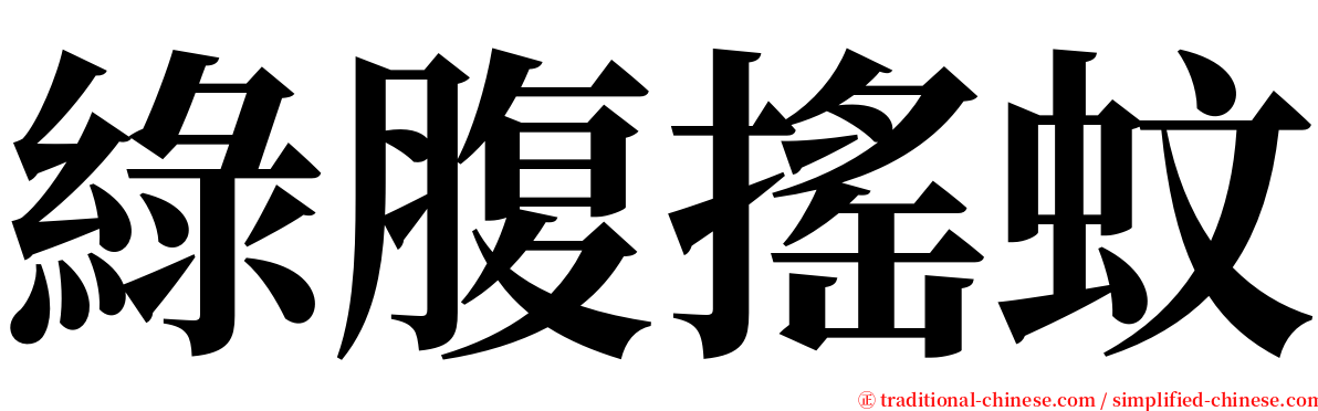 綠腹搖蚊 serif font