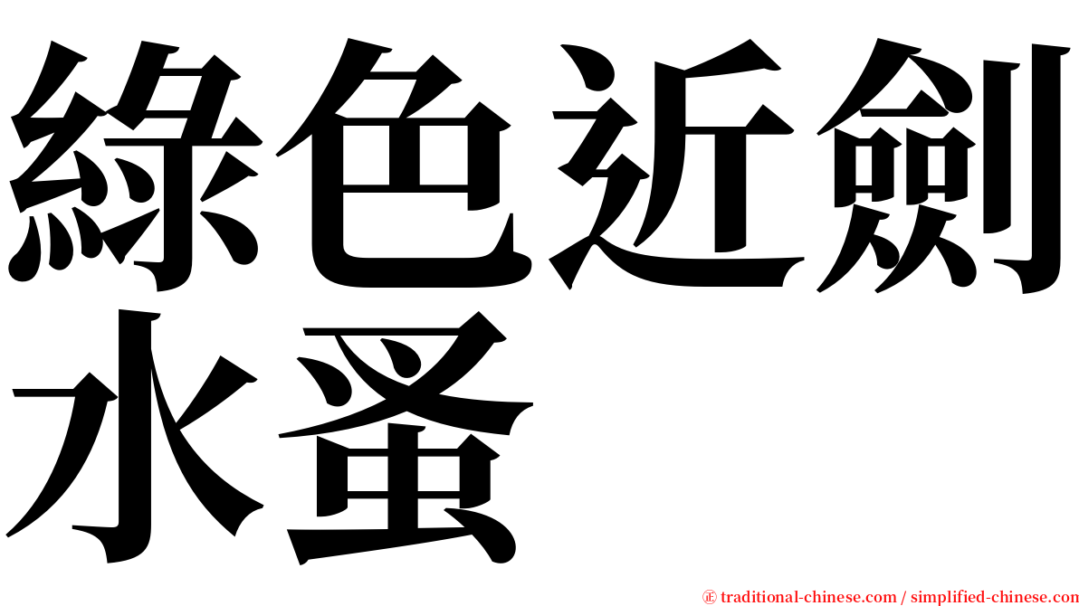 綠色近劍水蚤 serif font