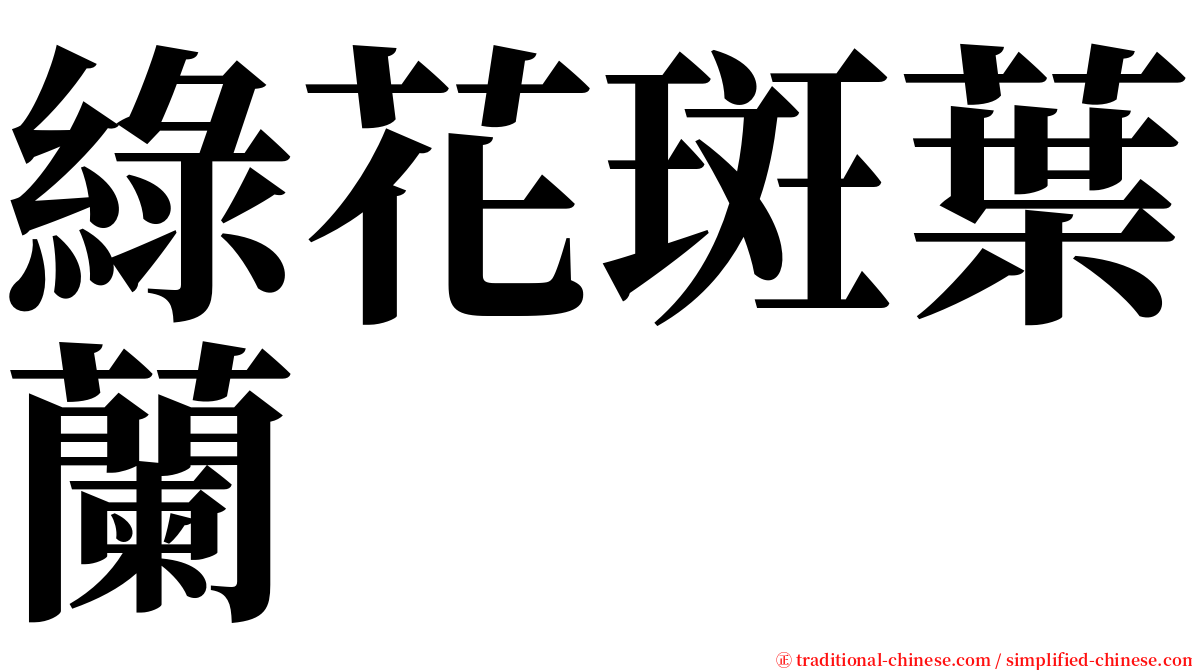 綠花斑葉蘭 serif font