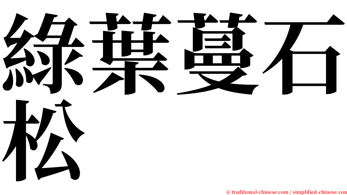 綠葉蔓石松 serif font